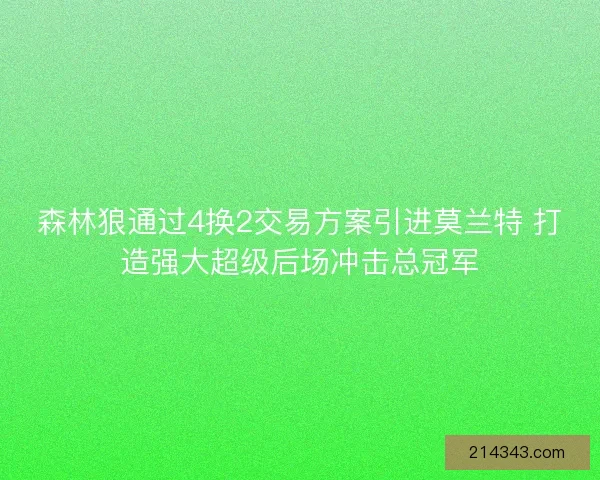 森林狼通过4换2交易方案引进莫兰特 打造强大超级后场冲击总冠军