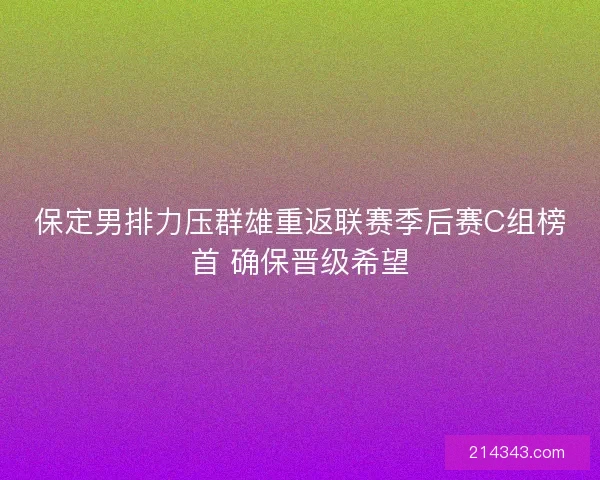 保定男排力压群雄重返联赛季后赛C组榜首 确保晋级希望